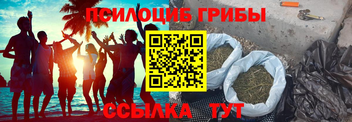 хочу   Галлюциногенные грибы Psilocybine cubensis  Вход с VPN  Галлюциногенные грибы мухоморы  Алейск 